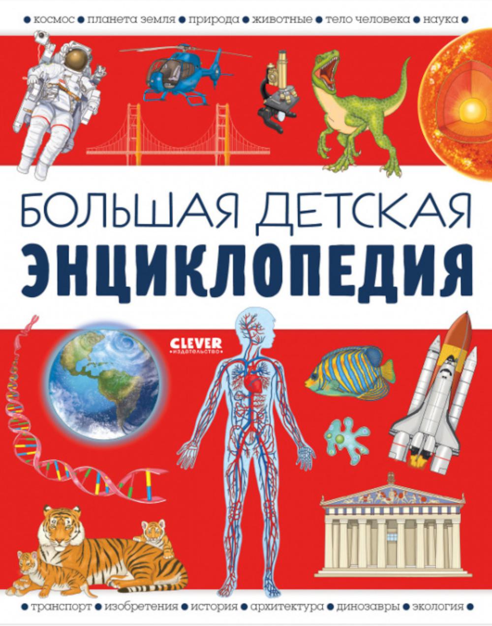 Большая детская энциклопедия - купить детской энциклопедии в  интернет-магазинах, цены на Мегамаркет | 20910