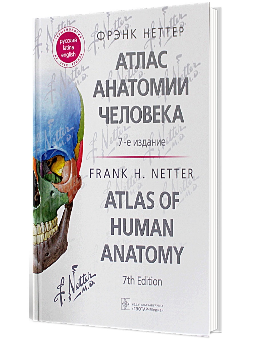 Атлас анатомии человека = Atlas of Human Anatomy 7-е изд. – купить в  Москве, цены в интернет-магазинах на Мегамаркет