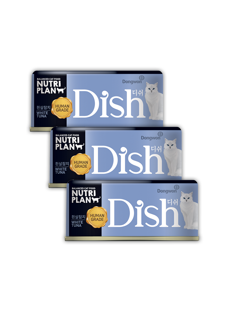 Five rivers electronic innovations. Тарелка плоская. Тарелка вилка нож. Чистая посуда. Dish plan a.