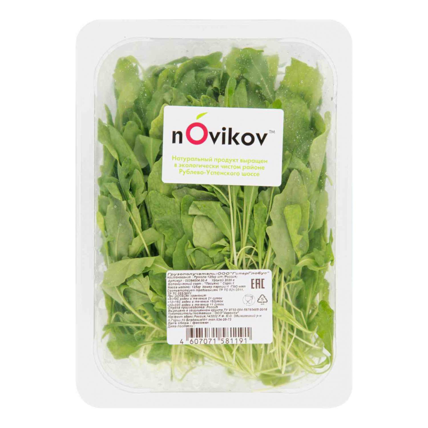 Руккола Купить
