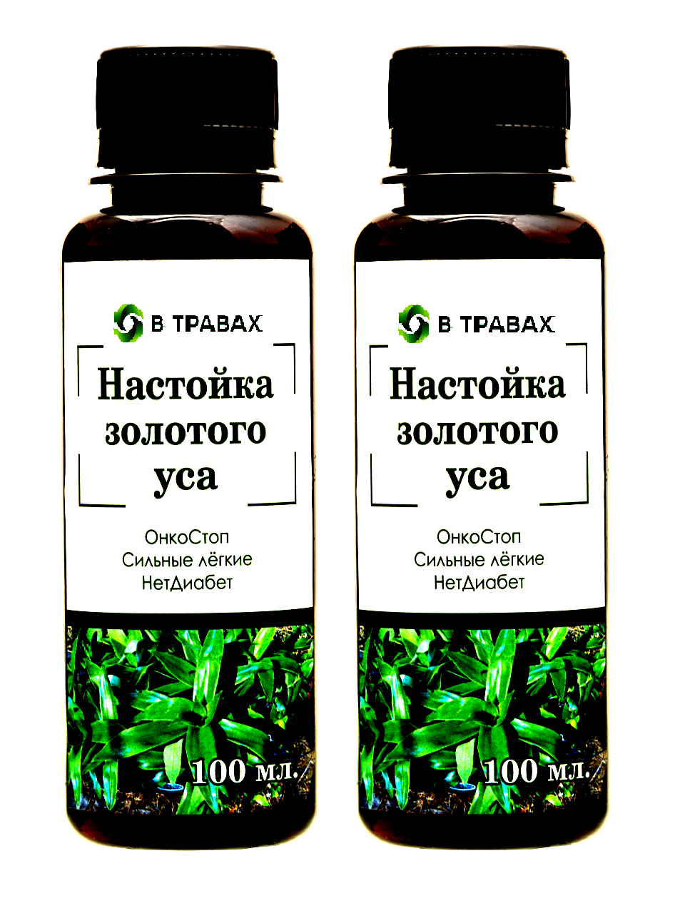 Золотой ус В ТРАВАХ настойка, классическая, 2 шт по 100 мл – купить в  Москве, цены в интернет-магазинах на Мегамаркет