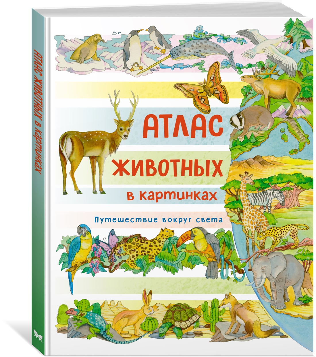 Атлас животных в картинках. Путешествие вокруг света. Барсотти Э. - купить  в Издательская Группа 