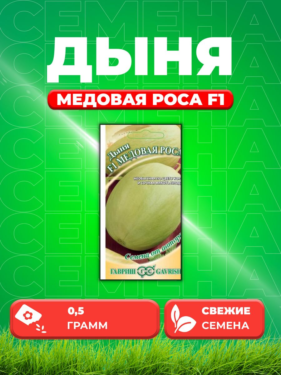 Дыня медовая. Дыня медовый месяц. Дыня медовая фото. Семена дыня медовая. Дыня медовый спас.