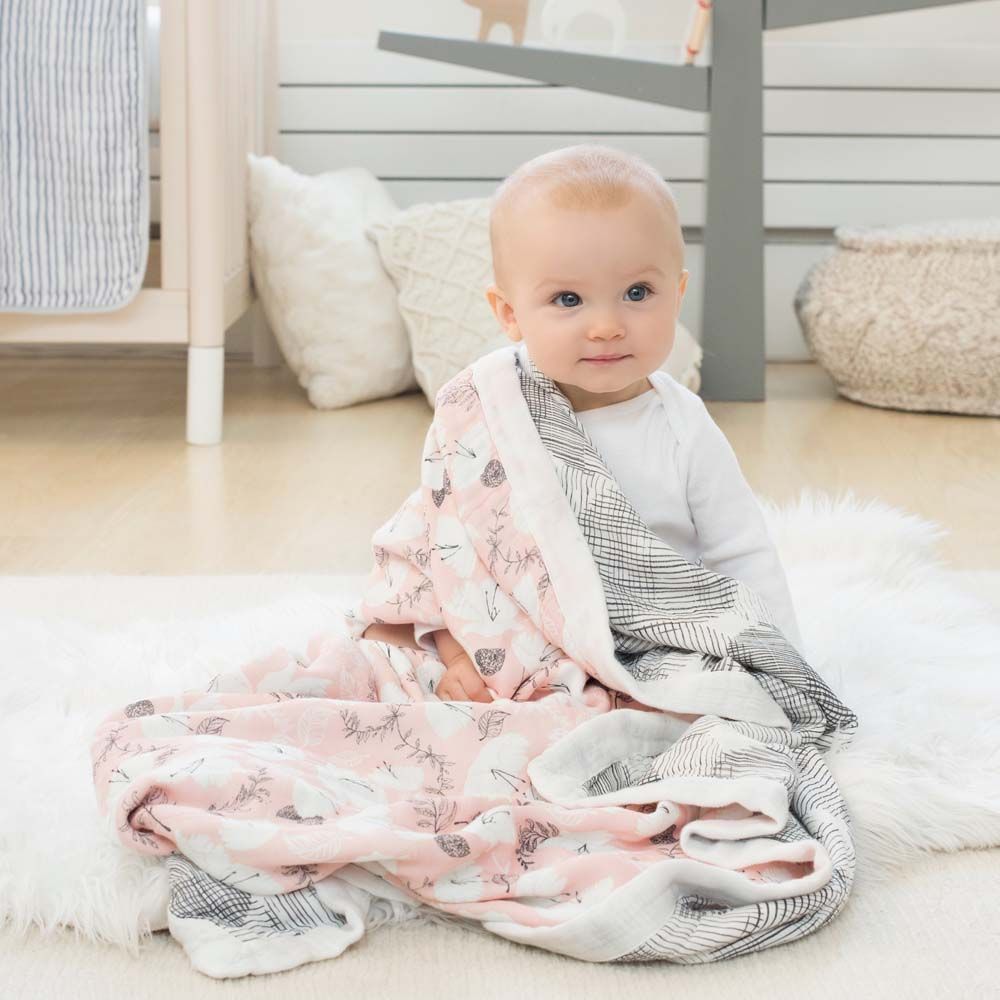 Aden 2024 anais silky