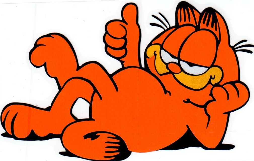 Кот гарфилд