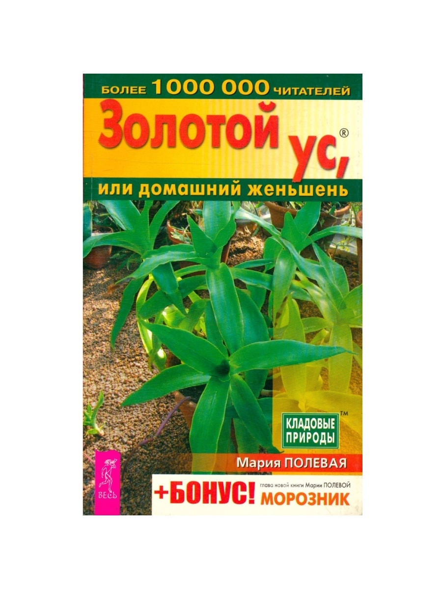 Золотой ус, или Домашний женьшень – купить в Москве, цены в  интернет-магазинах на Мегамаркет