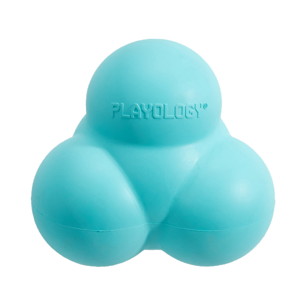 Купить игрушка для собак Playology Squeaky Bounce Ball жевательный мяч с  пищалкой, арахис,голубой, цены на Мегамаркет | Артикул: 600010864339