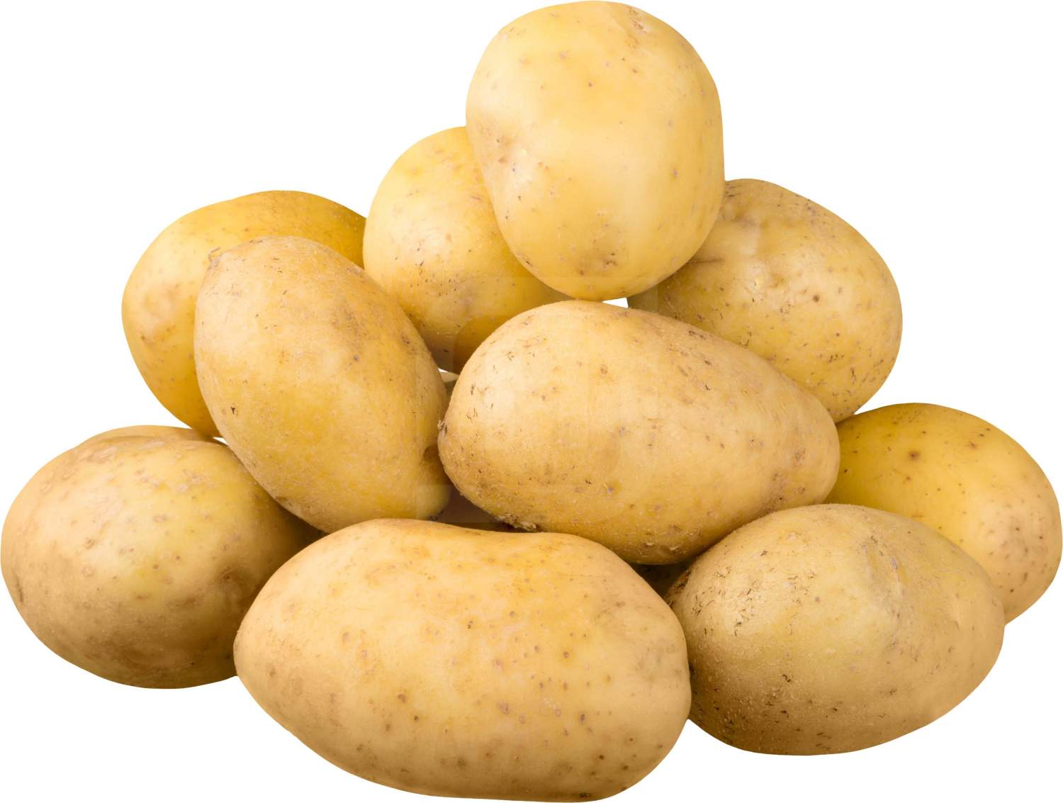 Картофель новый урожай +- 500 г - отзывы покупателей на маркетплейсеМегамаркет