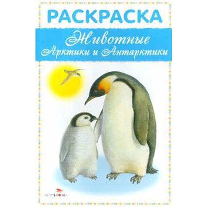 Купить животные Арктики и Антарктики, цены в Москве на Мегамаркет |  Артикул: 100046002690