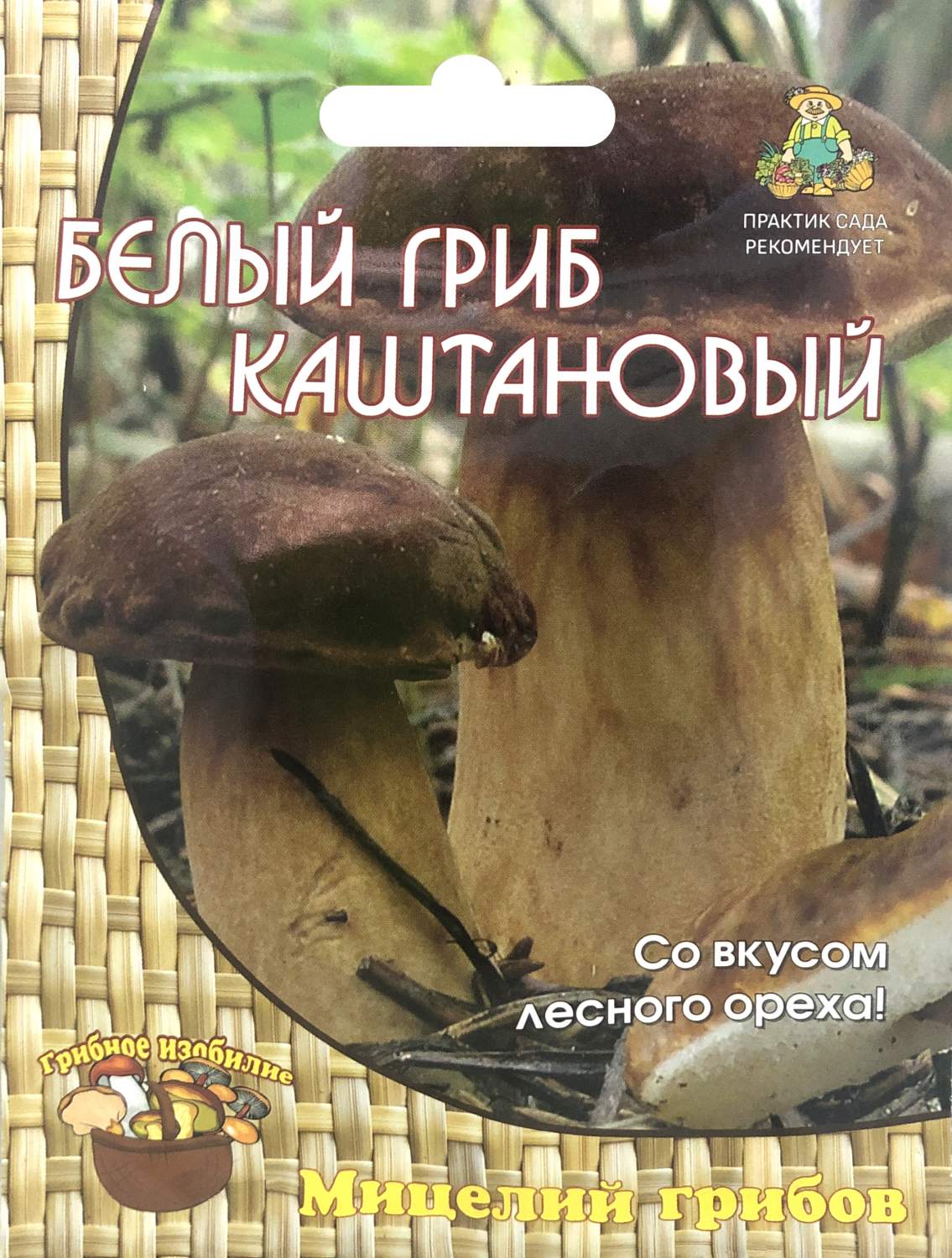 Мицелий Белый гриб каштановый Поиск 46712 60 мл. – купить в Москве, цены в  интернет-магазинах на Мегамаркет