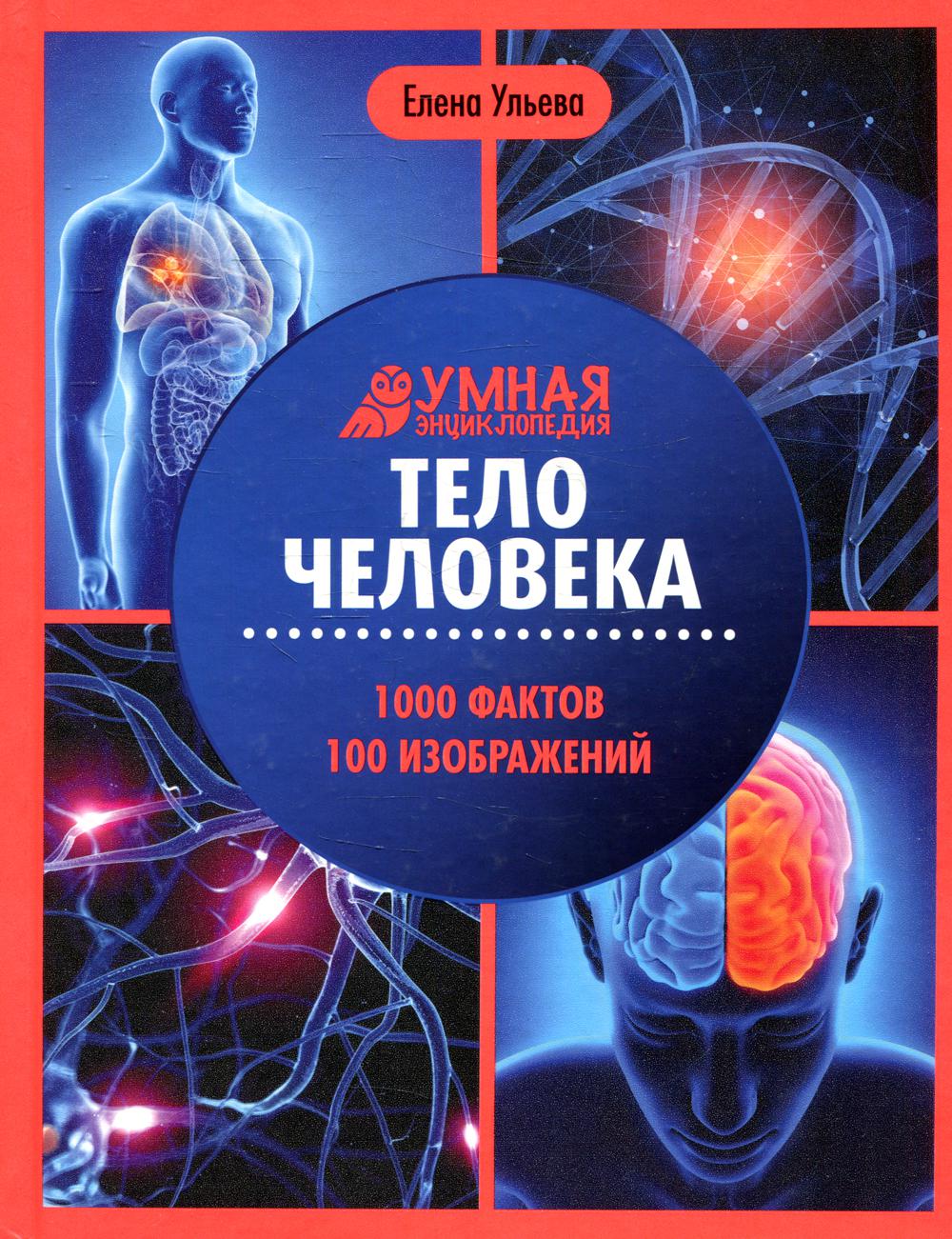 Тело человека - купить детской энциклопедии в интернет-магазинах, цены на  Мегамаркет | 144