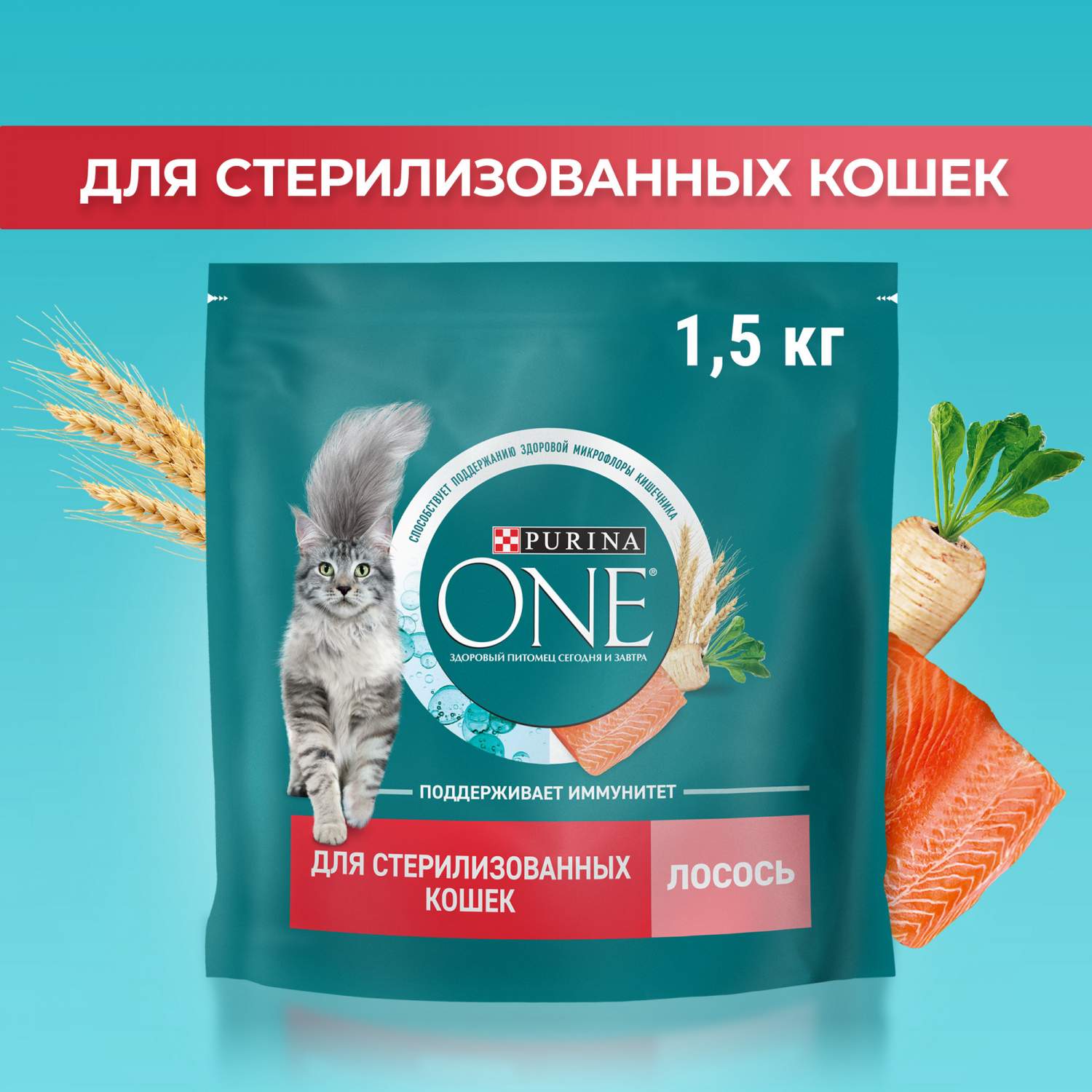 Сухой корм для кошек Purina ONE для стерилизованных с лососем и пшеницей,  1,5 кг - отзывы покупателей на маркетплейсе Мегамаркет | Артикул  товара:100024263803