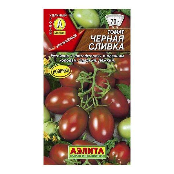 томат полным-полно аэлита. томат бердский крупный сиб сад. сад). томат бердский. помидоры бердский крупный.