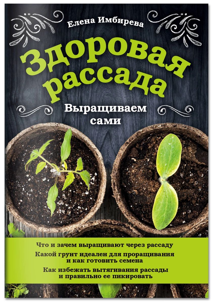 Книга Здоровая рассада. выращиваем сами - купить дома и досуга в  интернет-магазинах, цены на Мегамаркет |