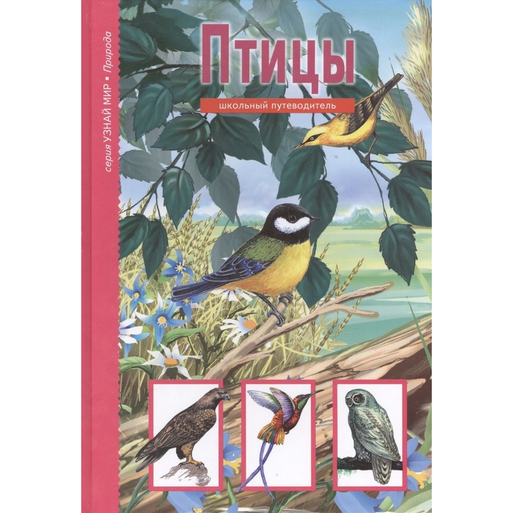 Балтийская книжная компания Узнай мир. Птицы. Школьный путеводитель. -  купить путешествий в интернет-магазинах, цены на Мегамаркет |