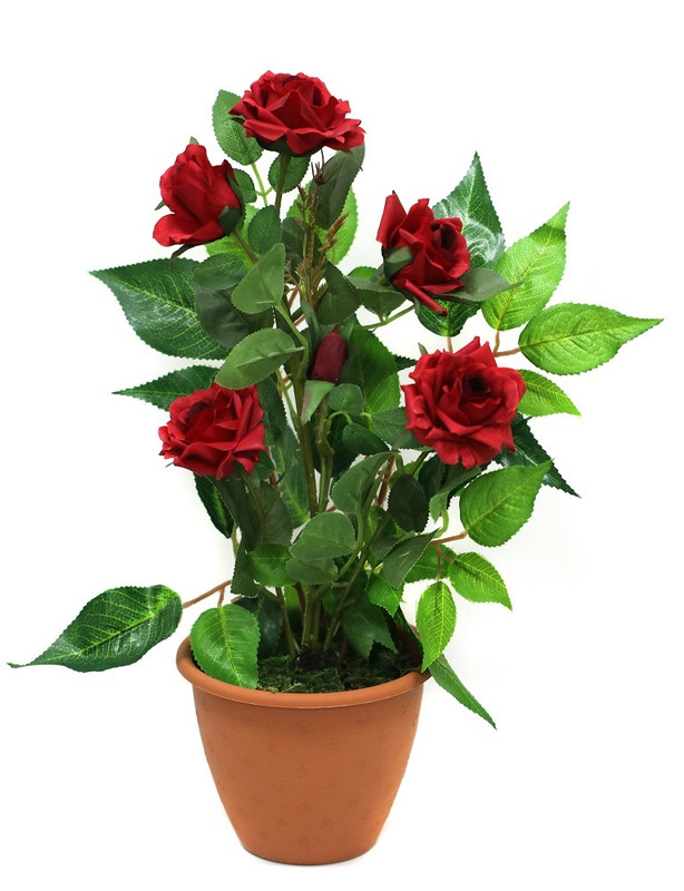 Искусственные цветы Розы в горшке - купить в Москве, цены на Мегамаркет