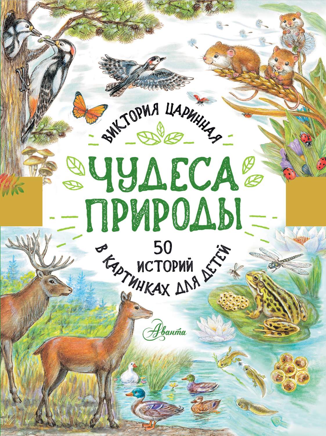 Чудеса природы. 50 историй в картинках для детей - купить развивающие книги  для детей в интернет-магазинах, цены на Мегамаркет | 978-5-17-137660-4