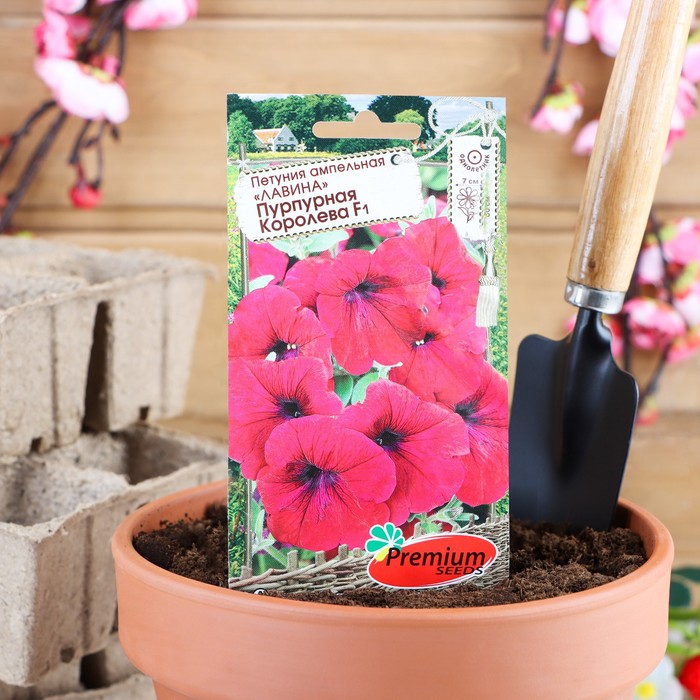 Петуния Яблоневый Цвет Купить