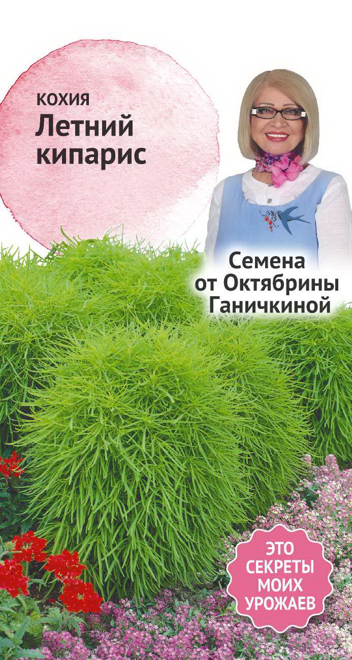 Семена кохия Семена от Октябрины Ганичкиной Летний кипарис 1 уп. - отзывы  покупателей на Мегамаркет | 100032801147