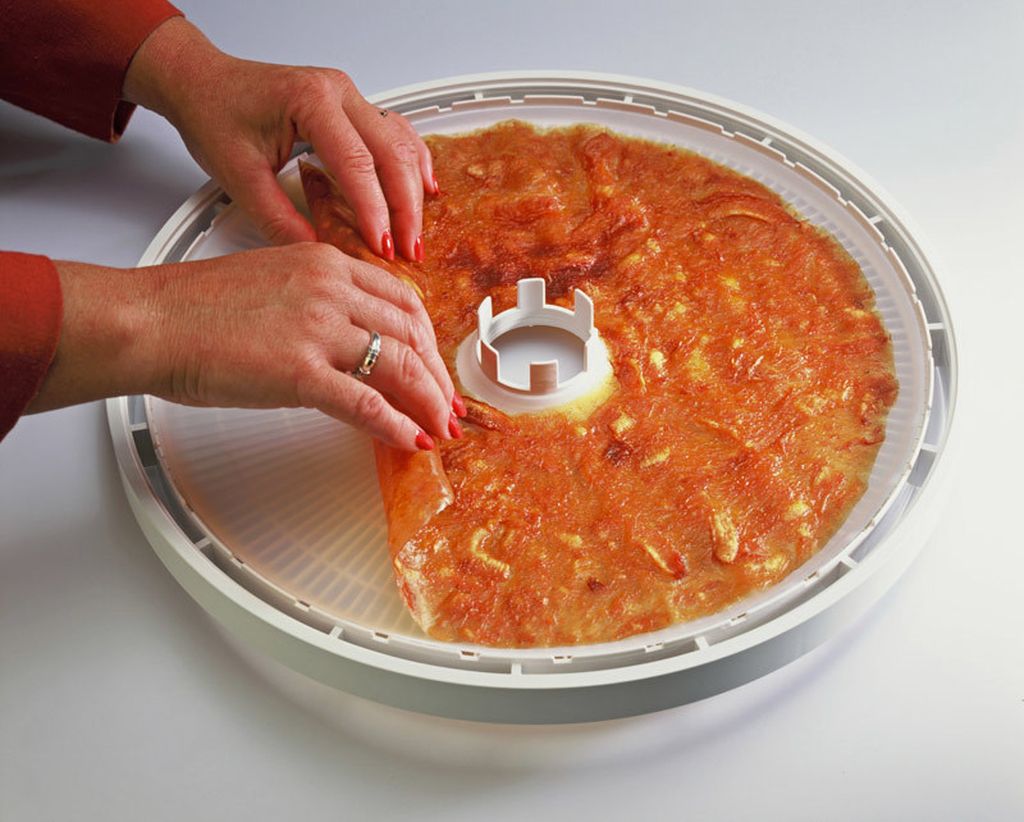 Пастила в изидри. Сушить в изидри. Силиконовые коврики для пастилы к сушилке квадратные. Сушить в изидри. Ezidri ultra fd1000.