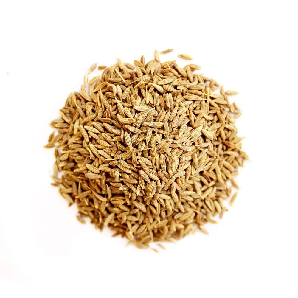 Тмин обыкновенный семена. Зира картинка. Зира иранская. Зира (кумин). Кумин семена (зира).