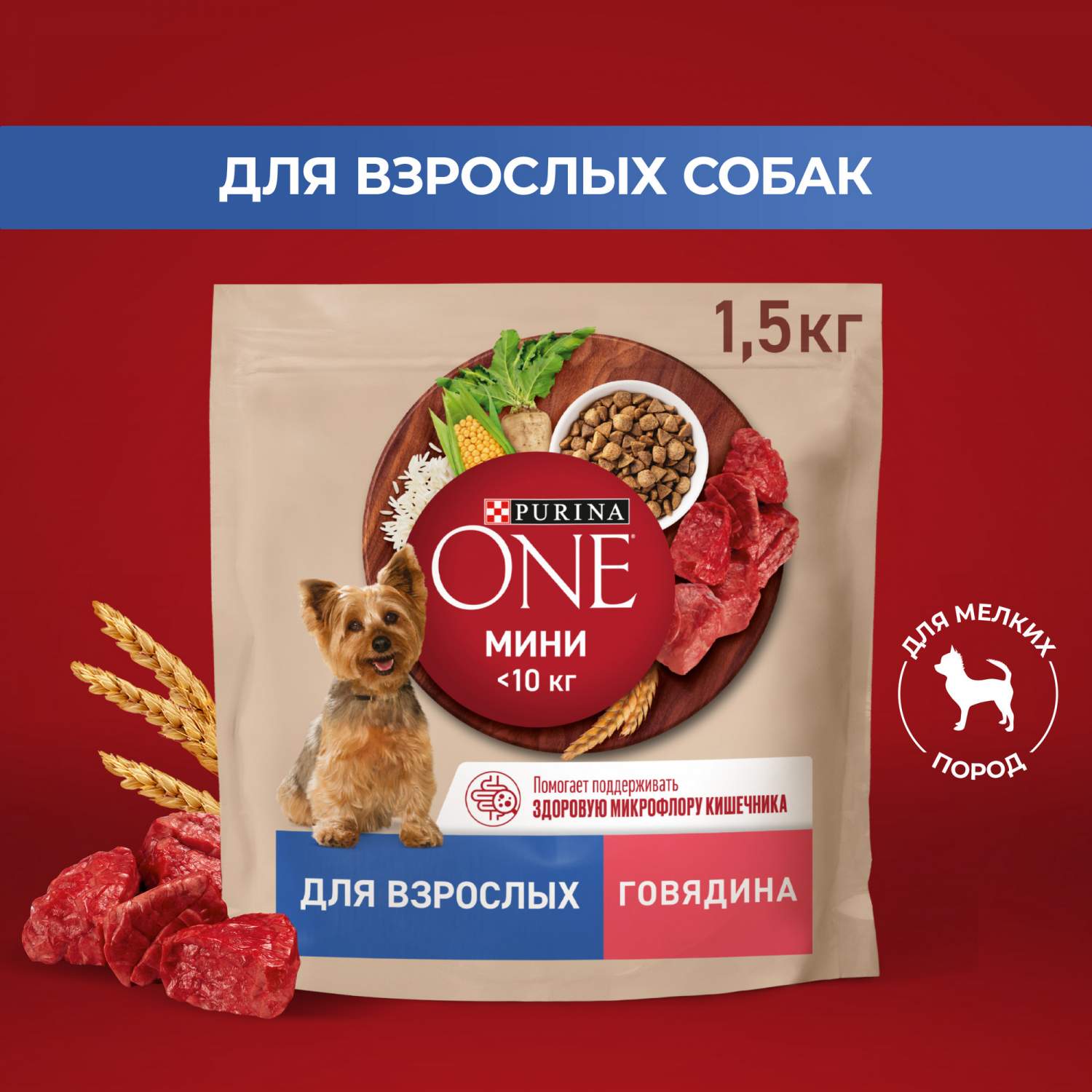 Купить сухой корм для собак Purina ONE, для мелких и карликовых пород,  говядина,рис, 1,5 кг, цены на Мегамаркет | Артикул: 600003680140