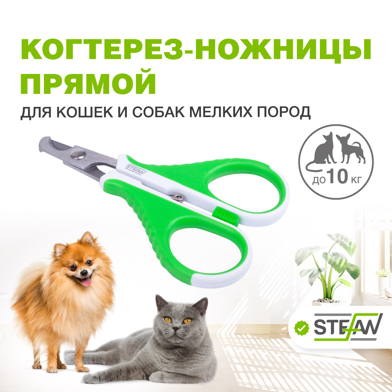 Короткая и длинная