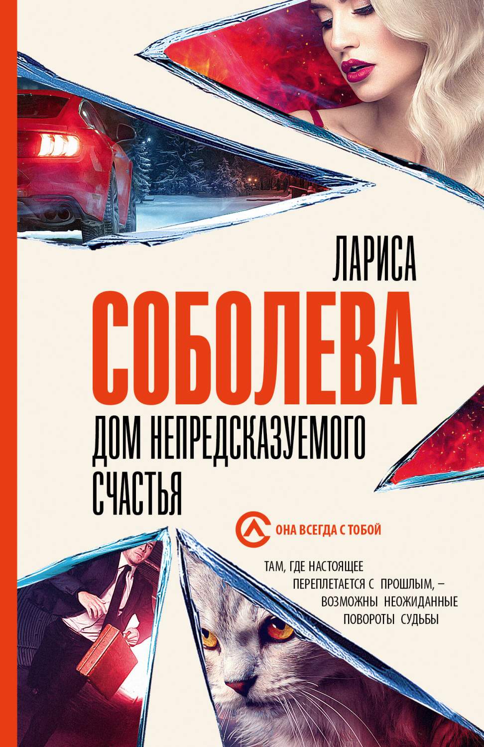 Дом непредсказуемого счастья - купить современного детектива и триллера в  интернет-магазинах, цены на Мегамаркет | 978-5-17-157051-4