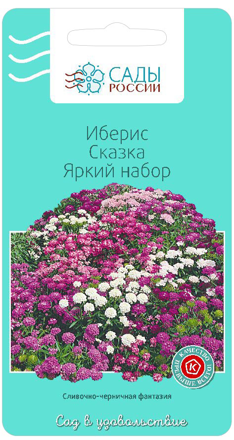 Иберис – посадка и уход с фото сортов