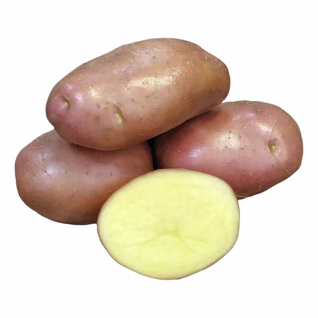 Где В Липецке Можно Купить Семенной Картофель