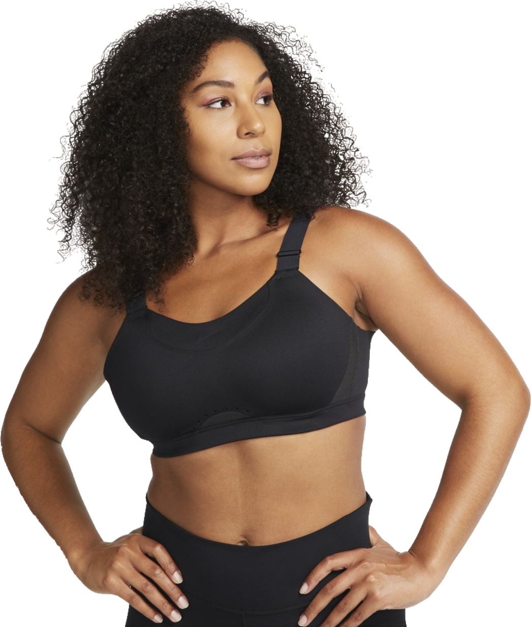 Alpha store bra nike