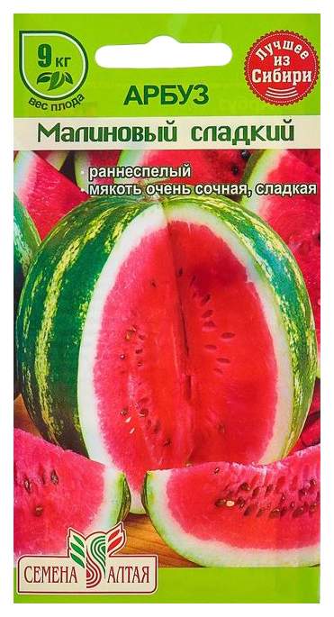Характеристика плодов арбуза Малиновый сладкий: