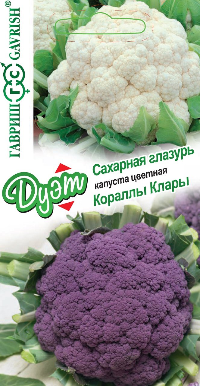 Капуста цветная Сахарная глазурь + Кораллы Клары серия Дуэт - купить в  Москве, цены на Мегамаркет | 100029059048