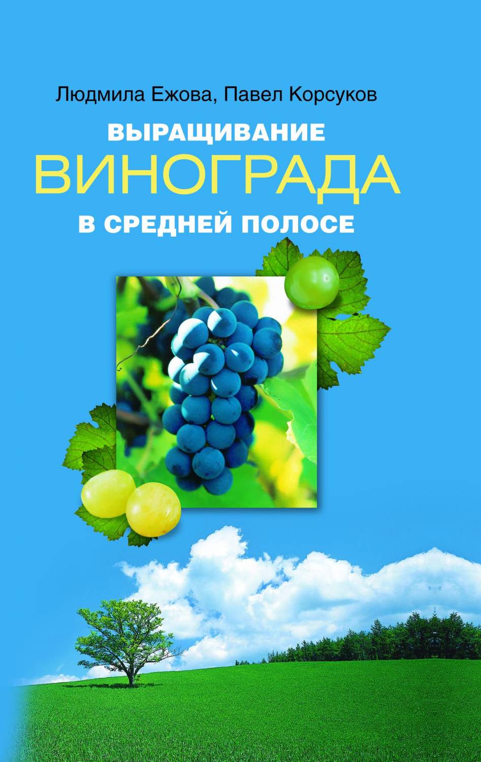 Выращивание винограда в средней полосе - купить дома и досуга в  интернет-магазинах, цены на Мегамаркет |