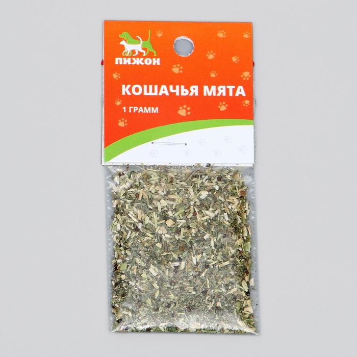 Кошачья мята Валдбериес