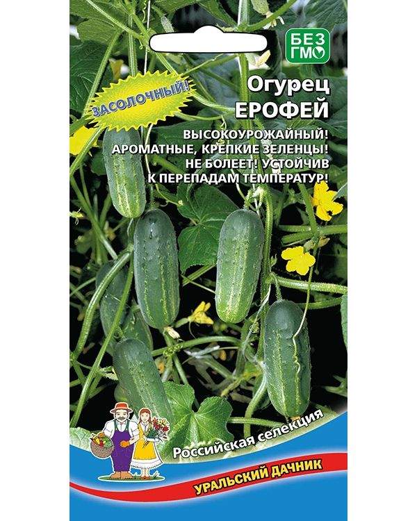 Семена Огурцы Уральский Дачник Купить
