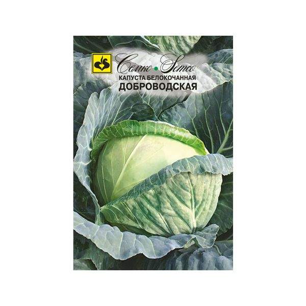 Капуста Доброводская: описание и характеристики сорта, выращивание и уход, отзывы