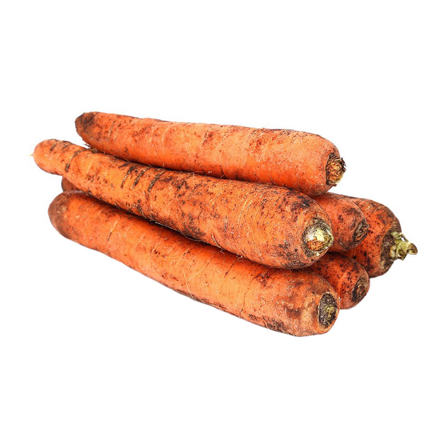 Морковь - отзывы покупателей на маркетплейсе Мегамаркет