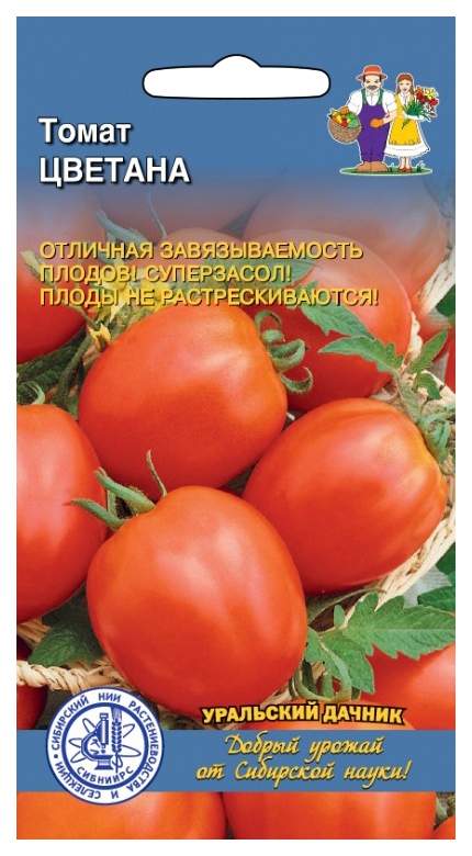 Голландские сорта томатов: описание, фото и отзывы