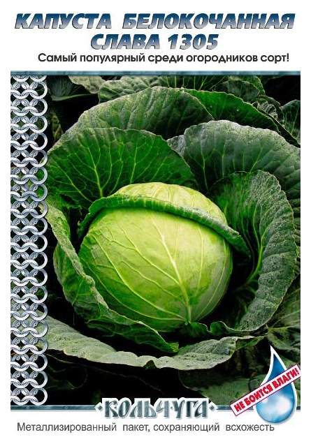 Семена капуста белокочанная Русский огород Слава 1305 Е01022 1 уп. - отзывыпокупателей на Мегамаркет
