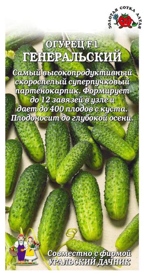 Огурец f1 спринт. Огурец генеральский ® f1. Суперпучковые огурцы для теплицы самоопыляемые сорта лучшие. Сорт огурцов мой генерал. Генеральский огурец описание.