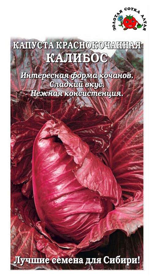 Семена капуста краснокочанная Золотая сотка Алтая Калибос 19301 1 уп. -купить в Москве, цены на Мегамаркет