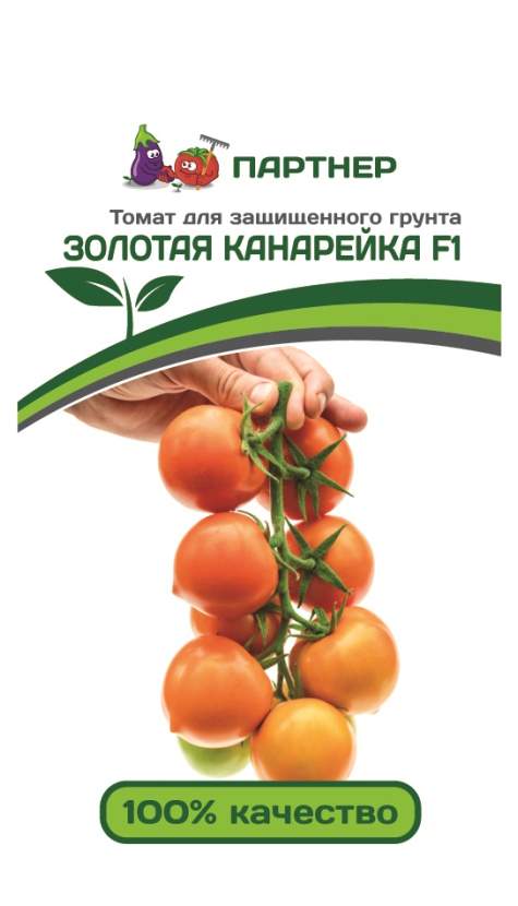 Томат Черри Кофе Описание Сорта Фото Отзывы — Фото Картинки