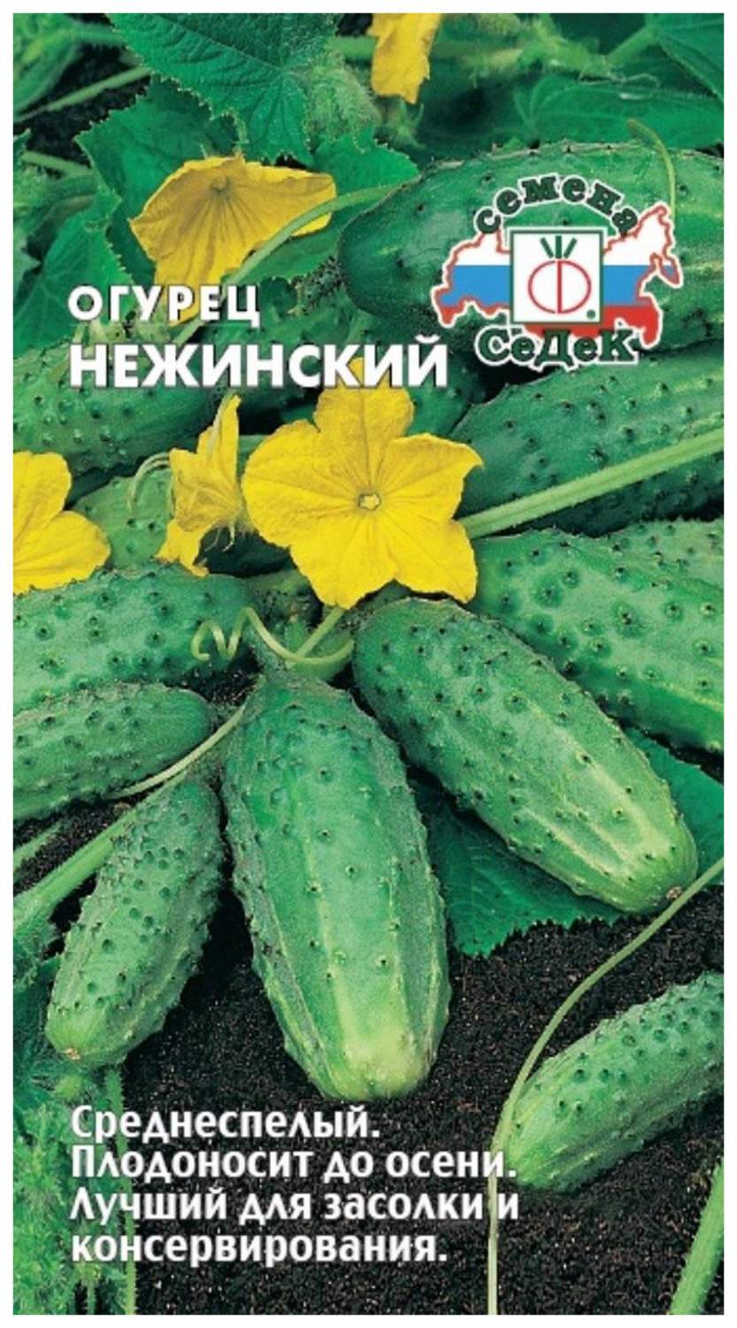 Семена огурец СеДеК Нежинский 14823 1 уп. - отзывы покупателей на Мегамаркет