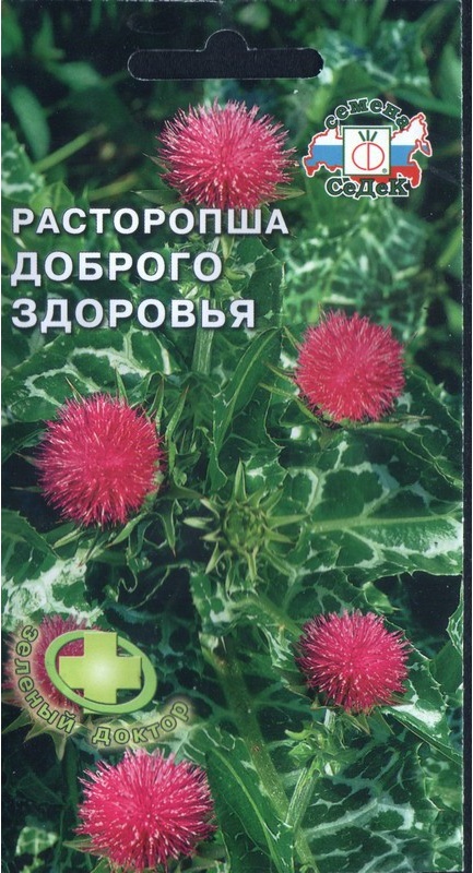 Татарник, Чертополох или Расторопша? Продолжение