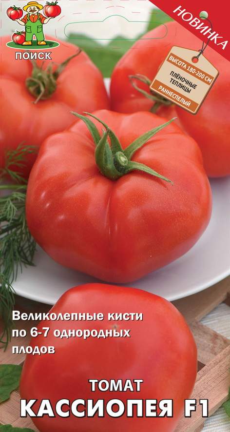 Семена томат Поиск Кассиопея F1 725506 1 уп. - отзывы покупателей наМегамаркет