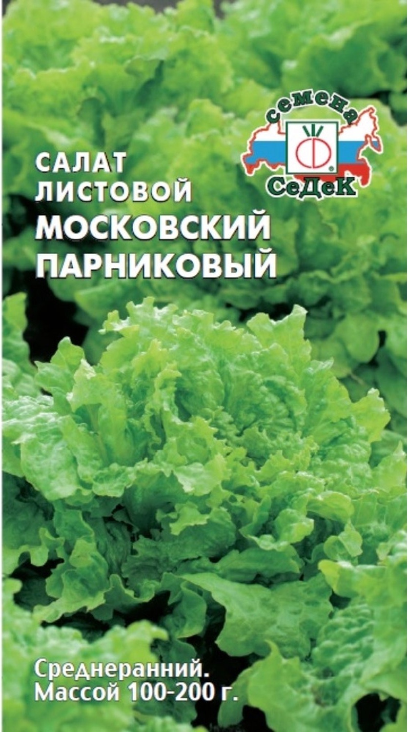 Салат московский парниковый описание. Салат листовой Московский парниковый. Салат Московский парниковый. Салат листовой Московский. Салат Московский семена.