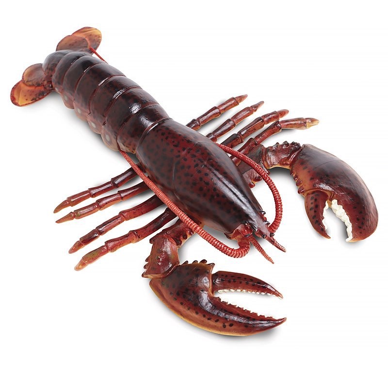 Тамағында сиқырды ұстайды Порно пост байқауы