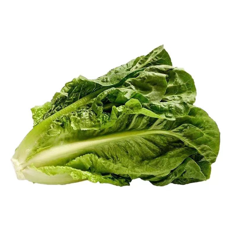 Lettuce