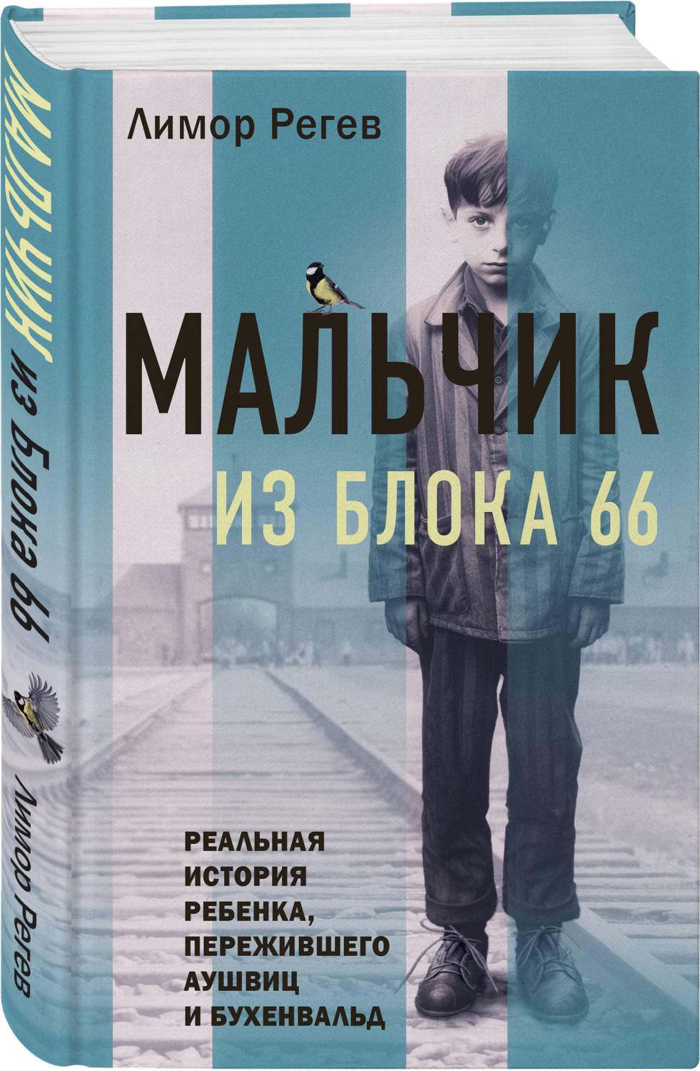 Мальчик из Блока 66. Реальная история ребенка, пережившего Аушвиц и  Бухенвальд - купить биографий и мемуаров в интернет-магазинах, цены на  Мегамаркет | 978-5-04-185011-1